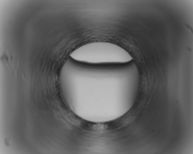 X0000102520225200808081037