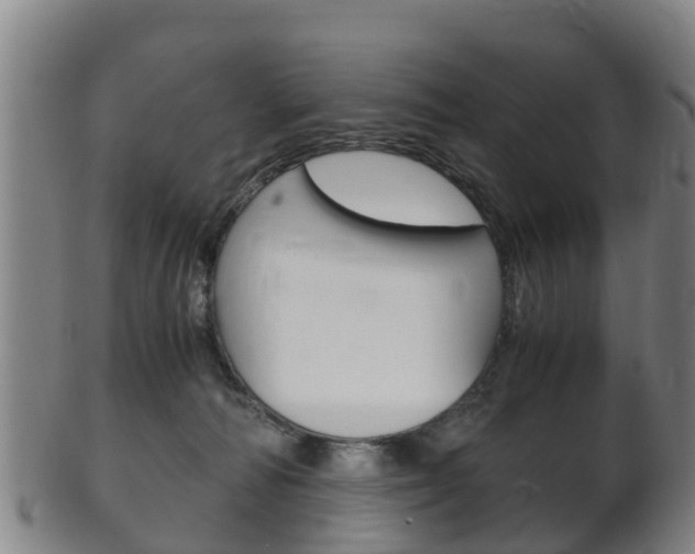 X0000102520226200808081037