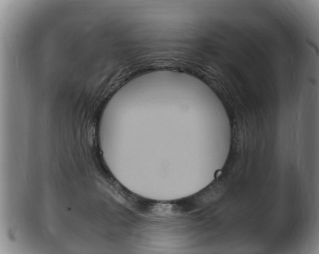 X0000102520227200808081037