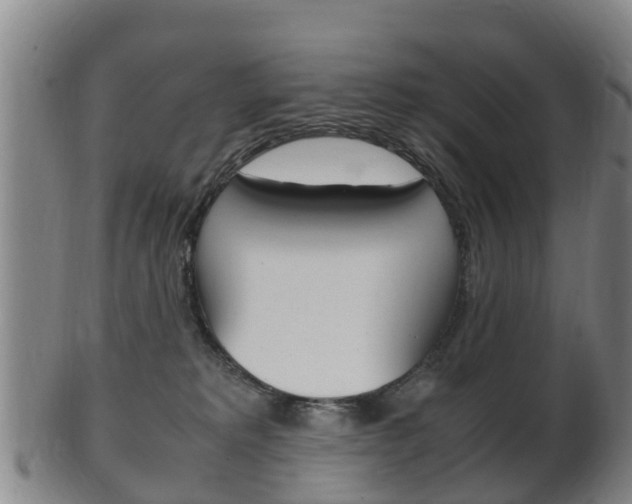 X0000102520229200808081037