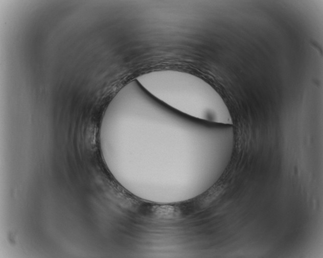 X0000102520230200808081037