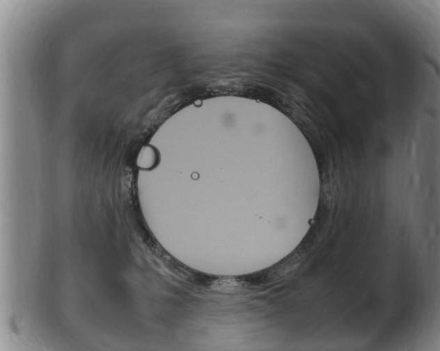 X0000102520231200808081037