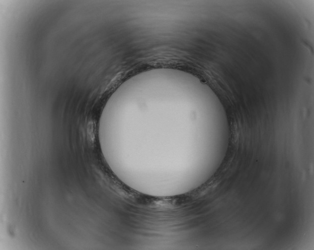 X0000102520232200808081037