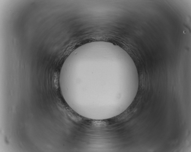 X0000102520234200808081037