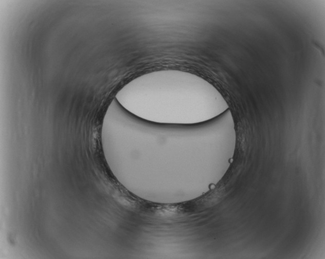 X0000102520235200808081037
