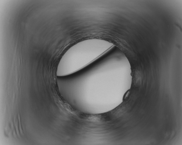 X0000102520236200808081037