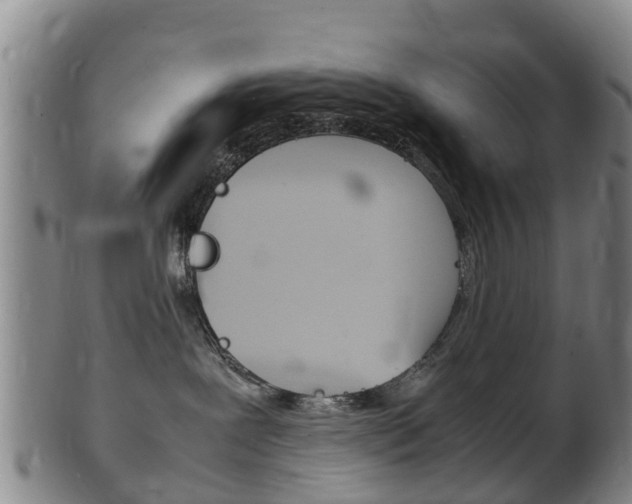 X0000102520239200808081037