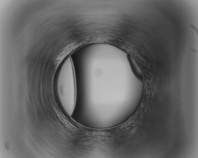 X0000102520242200808081036