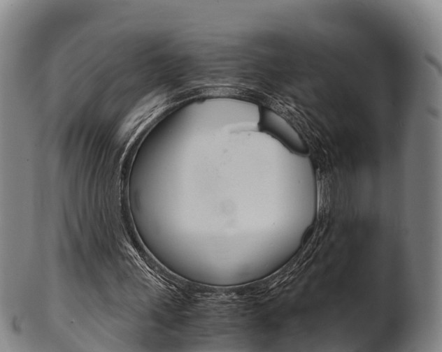 X0000102520243200808081036