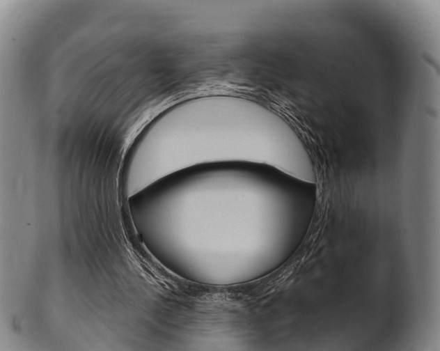 X0000102520244200808081036