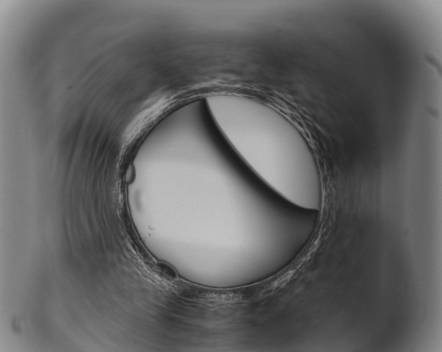 X0000102520245200808081036