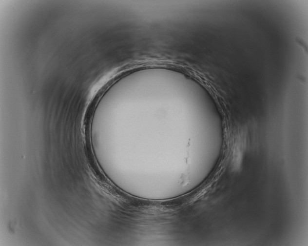 X0000102520246200808081036