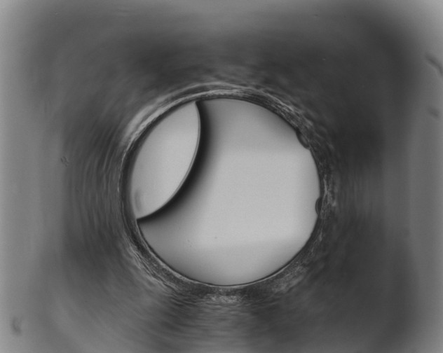 X0000102520247200808081036