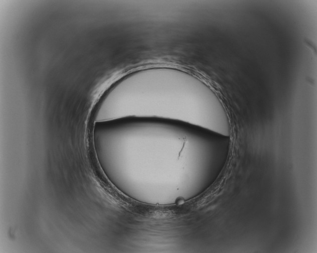 X0000102520248200808081036