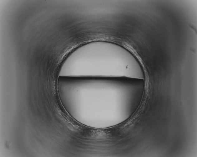 X0000102520249200808081036