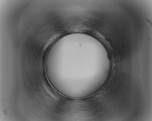 X0000102520250200808081036