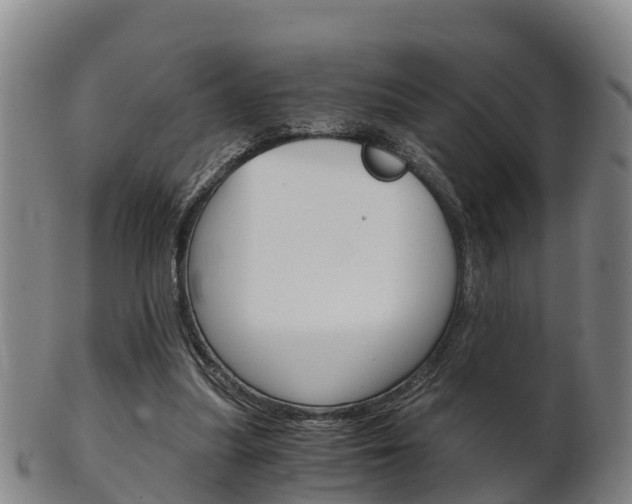 X0000102520251200808081036