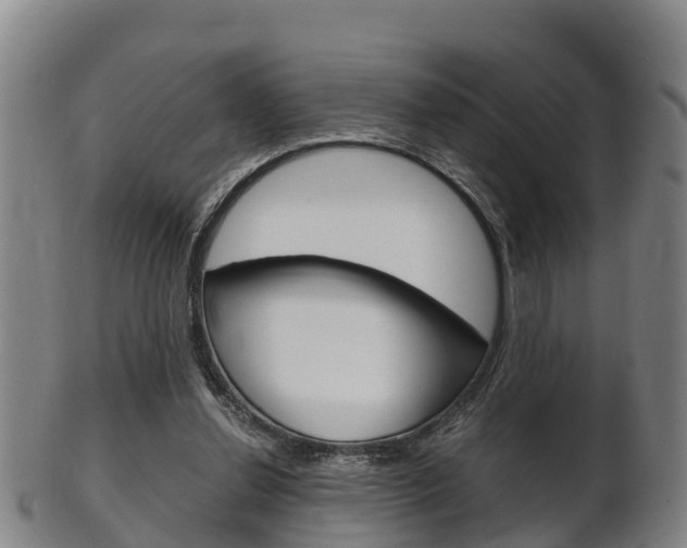 X0000102520252200808081036