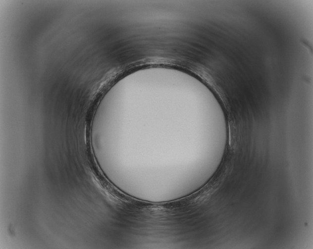 X0000102520253200808081036