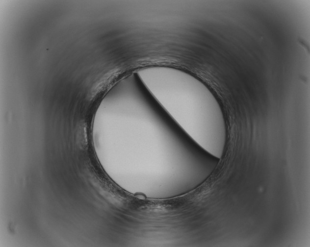 X0000102520254200808081036