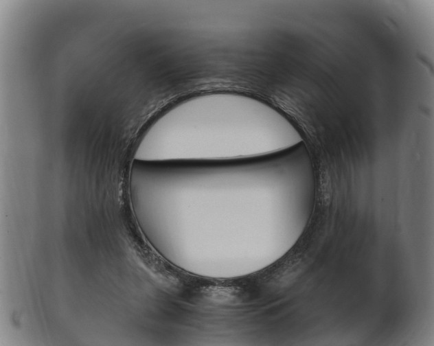 X0000102520255200808081036