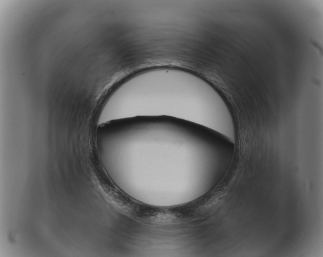 X0000102520256200808081036