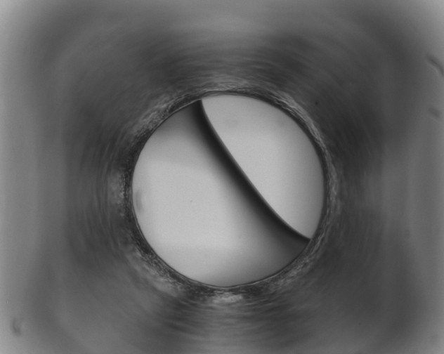 X0000102520257200808081036