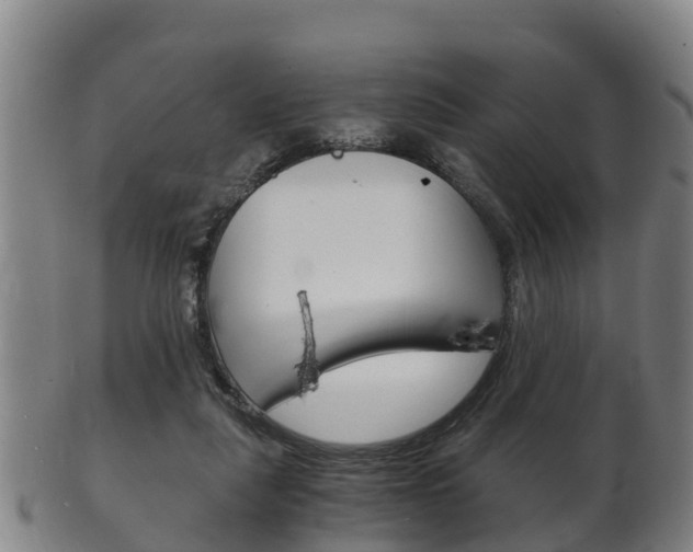 X0000102520259200808081036
