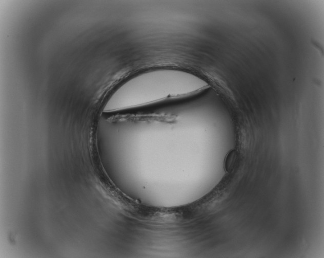 X0000102520260200808081036