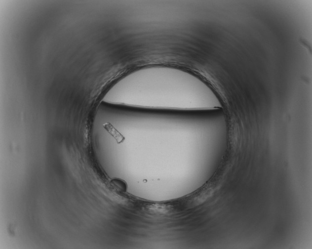 X0000102520261200808081036