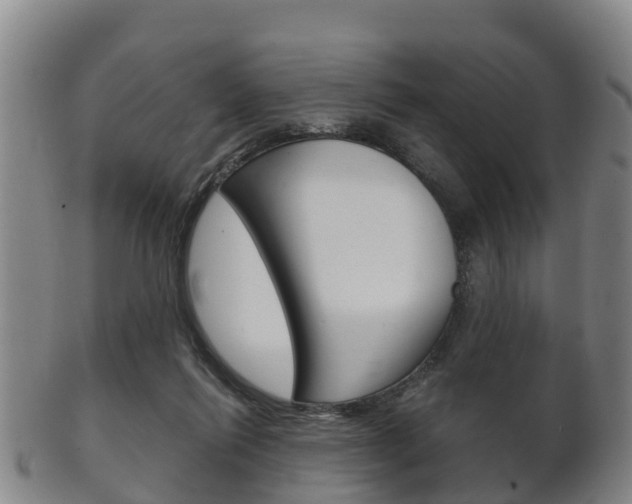 X0000102520262200808081036