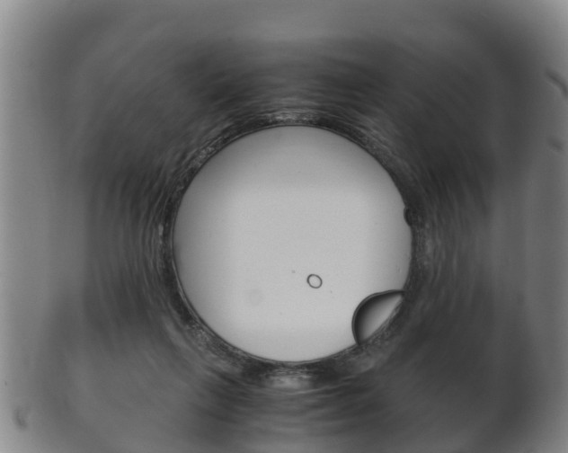 X0000102520263200808081036