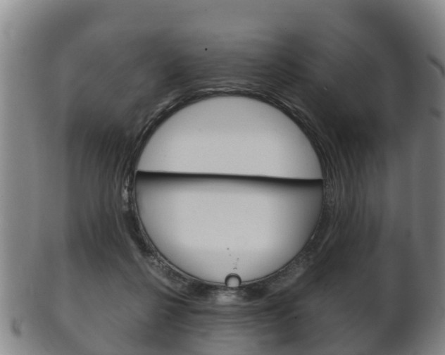 X0000102520264200808081036