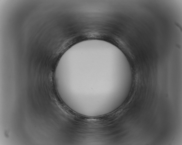 X0000102520265200808081036