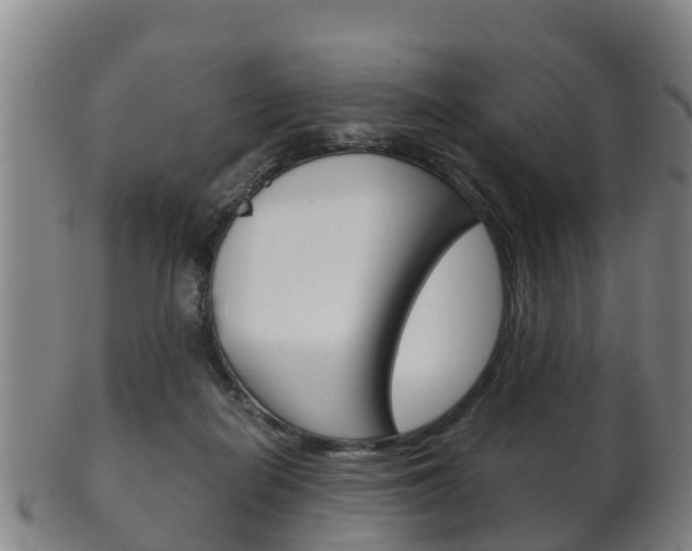 X0000102520266200808081036