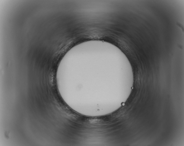 X0000102520268200808081036