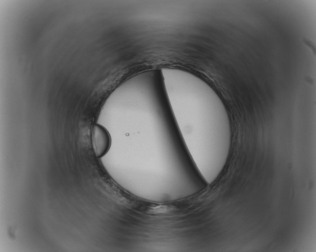 X0000102520269200808081036