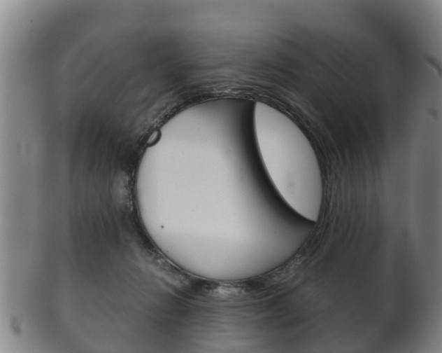 X0000102520270200808081036