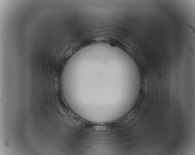 X0000102520272200808081037