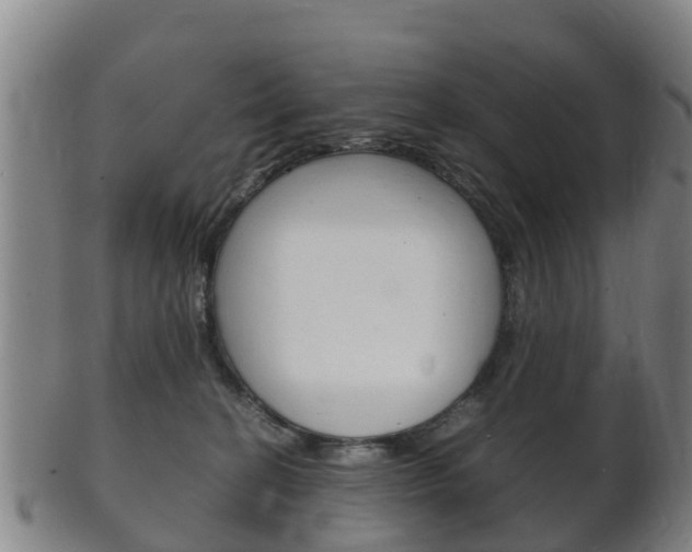 X0000102520274200808081037