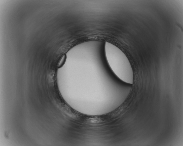 X0000102520275200808081037