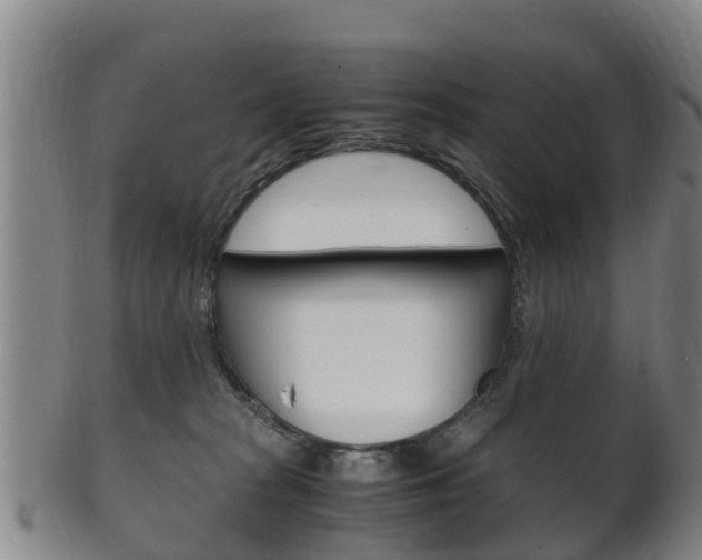 X0000102520277200808081037