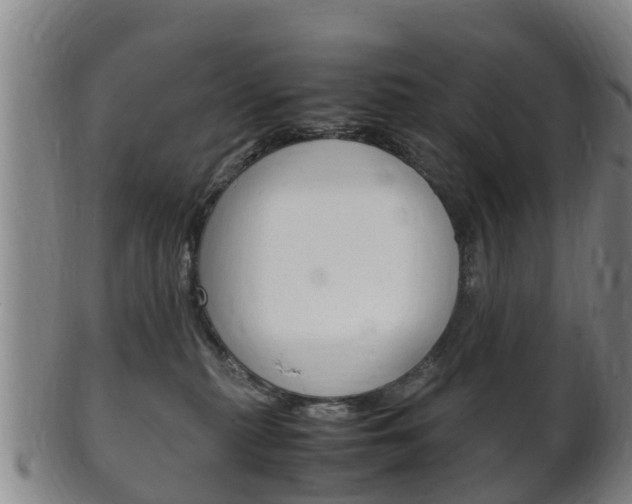 X0000102520279200808081037