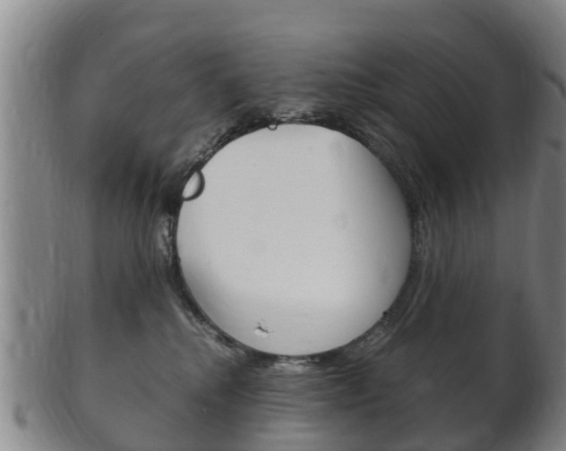 X0000102520280200808081037