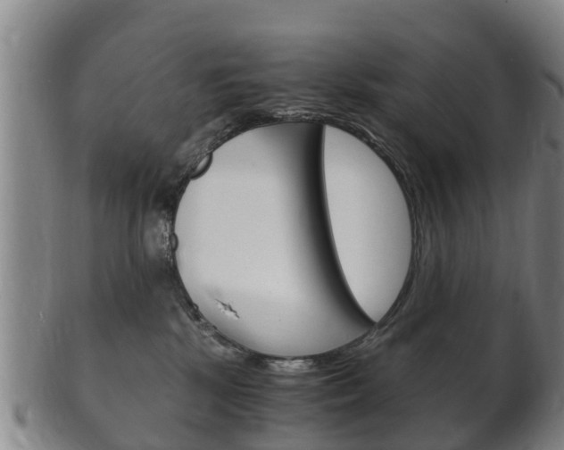 X0000102520281200808081037