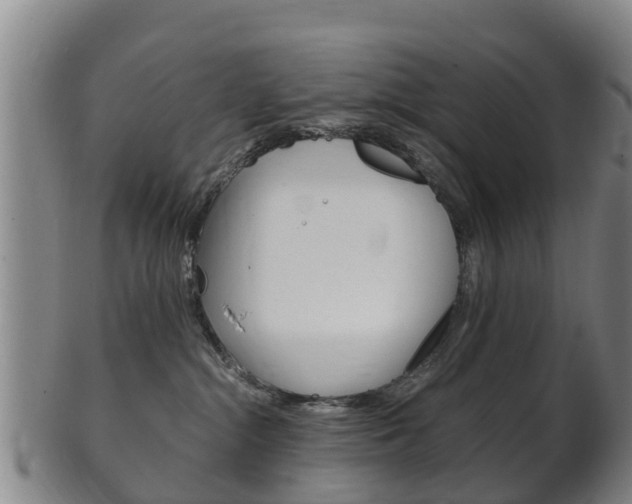 X0000102520284200808081037