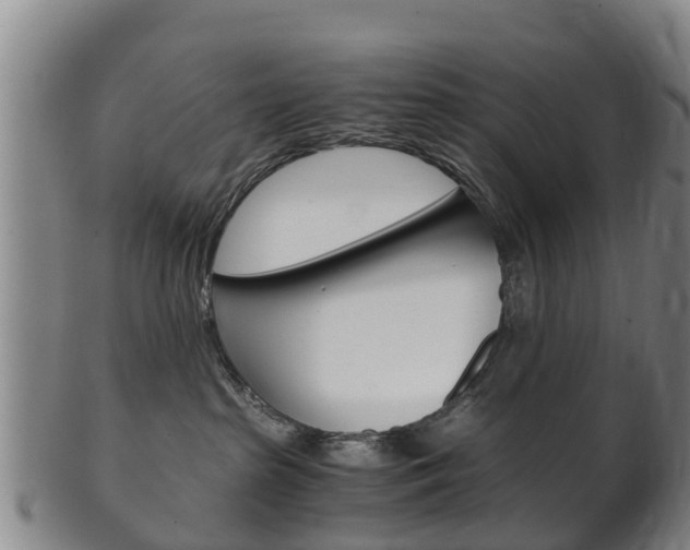 X0000102520285200808081037