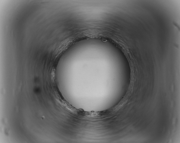 X0000102520288200808081037