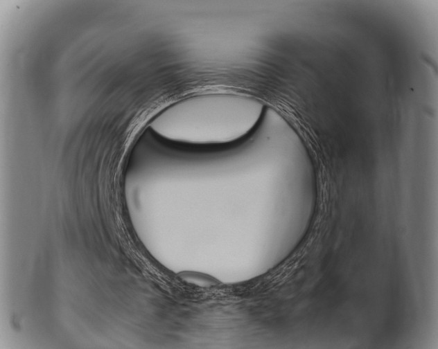 X0000102520289200808081036