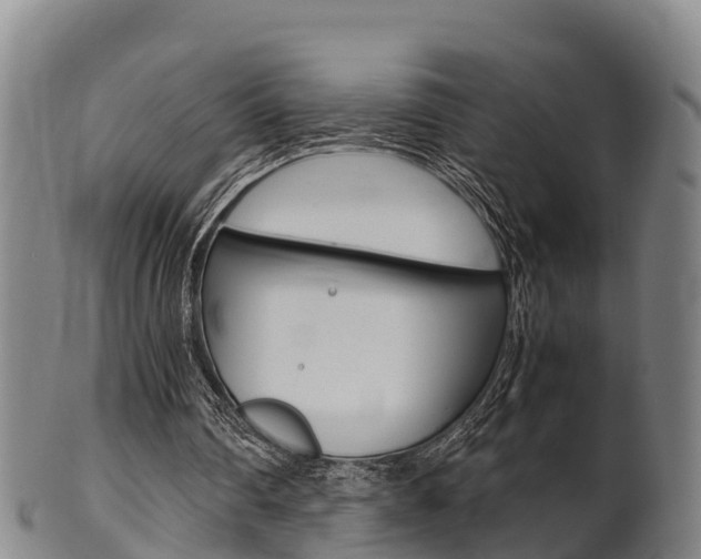 X0000102520290200808081036